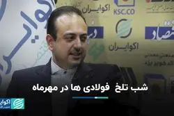 کام تلخ فولادی‌ها در نیمه نخست 1403