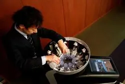 رویای مانیتورهای مزه دار محقق شد؟