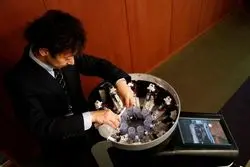 رویای مانیتورهای مزه دار محقق شد؟