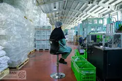 روح ناامیدی در بازار کار ایران؛ تمایل به کار کردن کم شده است؟