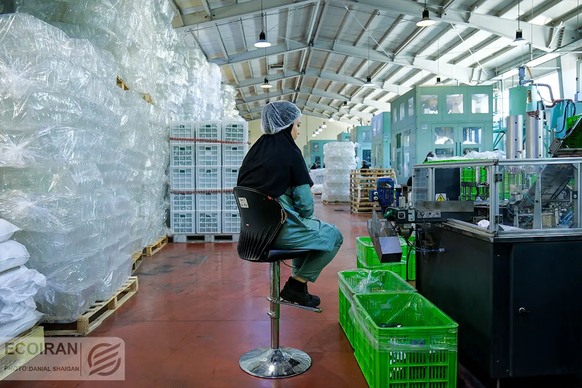 روح ناامیدی در بازار کار ایران؛ تمایل به کار کردن کم شده است؟