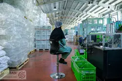 روح ناامیدی در بازار کار ایران؛ تمایل به کار کردن کم شده است؟