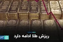  ریزش طلا ادامه دارد
