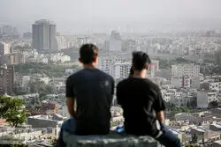 روند معاملات مسکن در سال ۱۴۰۳؛ این خانه ها بیشتر خریدار داشتند 