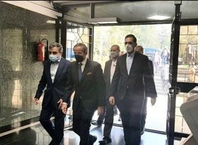 گروسی وارد تهران شد