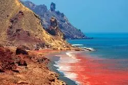 از حفاظت تا جذب گردشگر: جزایر خلیج‌فارس شناسنامه‌دار می‌شوند