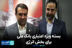 بسته ویژه اعتباری بانک ملی برای بخش انرژی