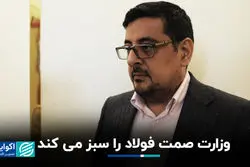 وزارت صمت فولاد را سبز می کند