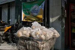 توقف صادرات سیب زمینی و پیاز/ وزیر جهاد کشاورزی: نباید از تولید غافل شویم