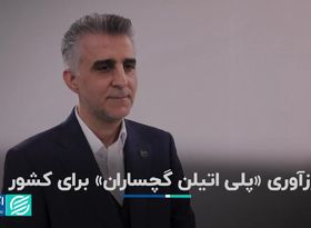 ارز‌آوری «پلی اتیلن گچساران» برای کشور