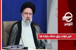 خیز دولت برای حذف یارانه ها