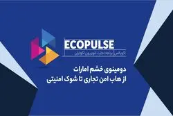 دومینوی خشم امارات
