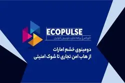 دومینوی خشم امارات