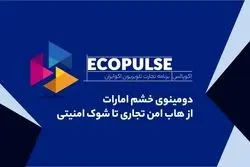 دومینوی خشم امارات