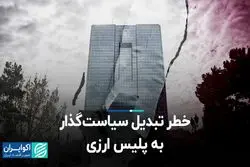 خطر تبدیل سیاست‌گذار به پلیس ارزی