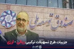 جزئیات طرح تسهیلات ترکیبی ریالی - ارزی