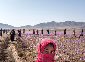 خشکسالی گریبان جوانان روستایی را گرفت؛ بهبود اشتغال در شهرها