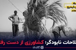 بذر اقتصادی انقلاب 57؛ اصلاحاتی که علیه شاه شد