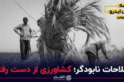 بذر اقتصادی انقلاب 57؛ اصلاحاتی که علیه شاه شد