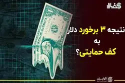 ماجرای نوسان میرا در قیمت دلار