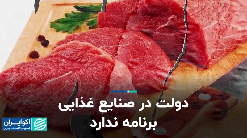 دولت در صنایع غذایی برنامه ندارد