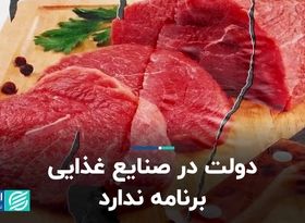 دولت در صنایع غذایی برنامه ندارد