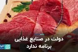 دولت در صنایع غذایی برنامه ندارد