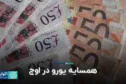  همسایه یورو در اوج