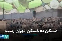 مُسکن به مَسکن تهران رسید/ خروج ۲۰ میلیارد دلار از مدار اقتصاد ایران