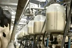 افزایش قیمت شیر خام و لبنیات از امروز 