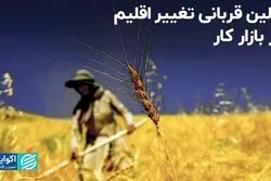 زنان؛ اولین قربانی تغییرات اقلیمی در بازار کار