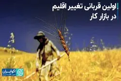 زنان؛ اولین قربانی تغییرات اقلیمی در بازار کار