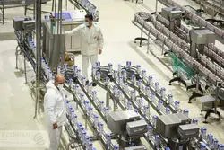 روند صعودی رشد تولید کالاهای مصرفی در 1401