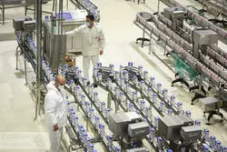 شیر ایران در آسیا اول شد