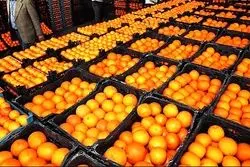 بازگشت ارز صادراتی سیب، پرتقال و نارنگی نصف شد