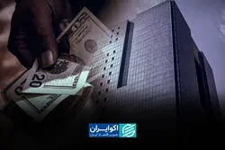 بانک مرکزی با دلار چه کرد؟