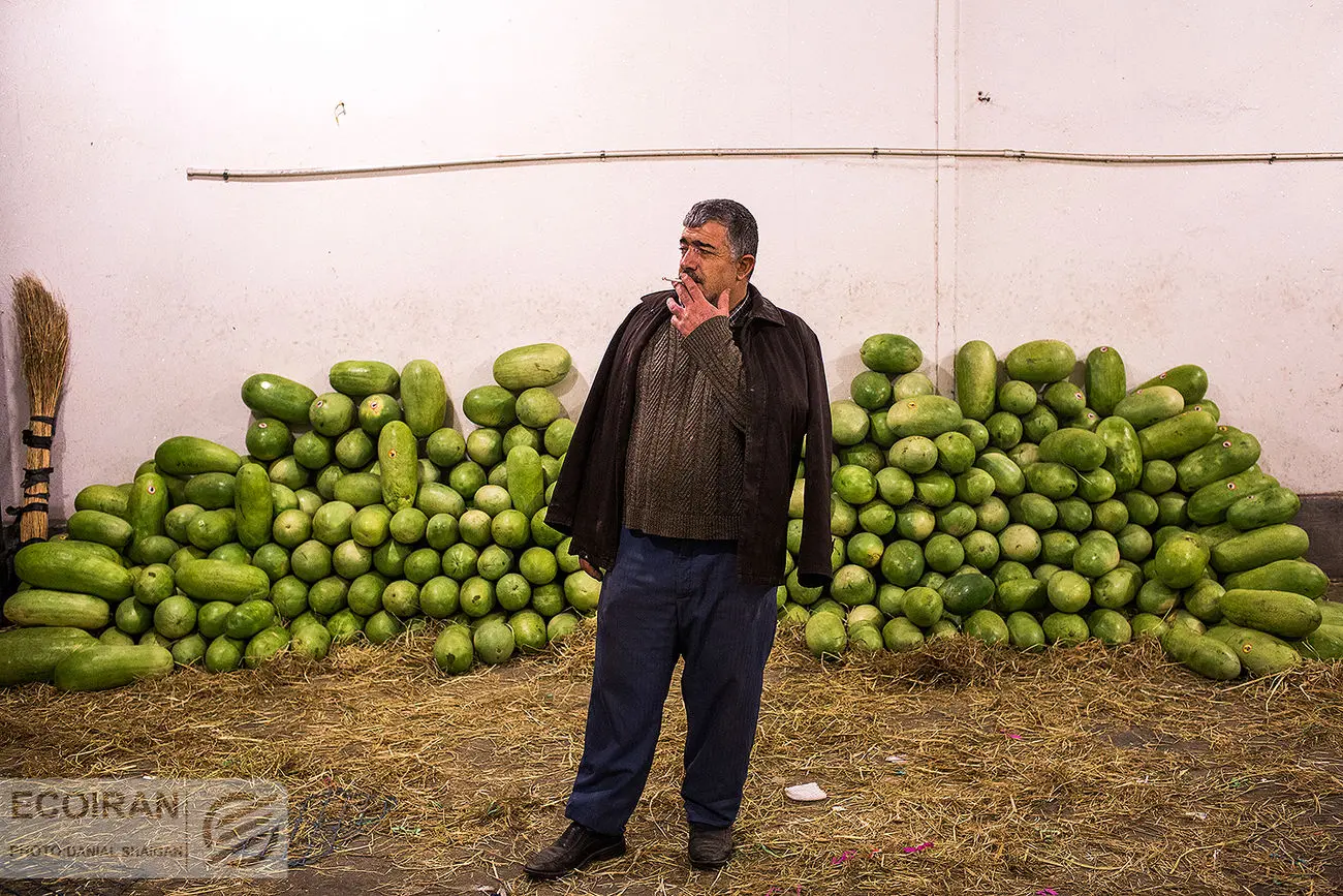 چرخش هندوانه و سیب زمینی به سمت افزایش قیمت+ نمودار