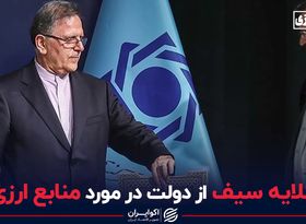 گلایه سیف از دولت در مورد منابع ارزی