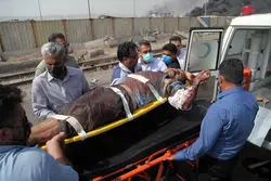 آخرین جزئیات از آمار جانباختگان و مصدومان انفجار بندر شهید رجایی