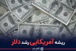 ریشه آمریکایی رشد دلار