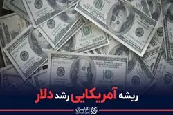 ریشه آمریکایی رشد دلار