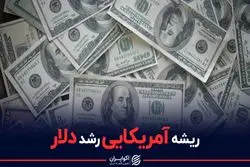 ریشه آمریکایی رشد دلار