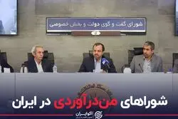 شوراهای من‌درآوردی در ایران