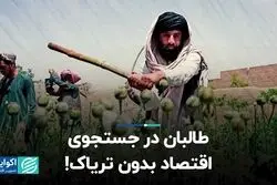 طالبان جلوی کشت خشخاش را می‌گیرد؟