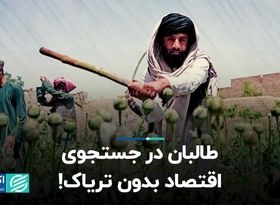 طالبان جلوی کشت خشخاش را می‌گیرد؟