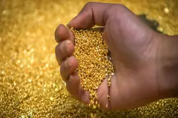 تغییرات قیمت طلای 18 عیار در روزهای گذشته