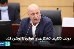 دولت تکلیف تشکل‌های موازی را روشن کند