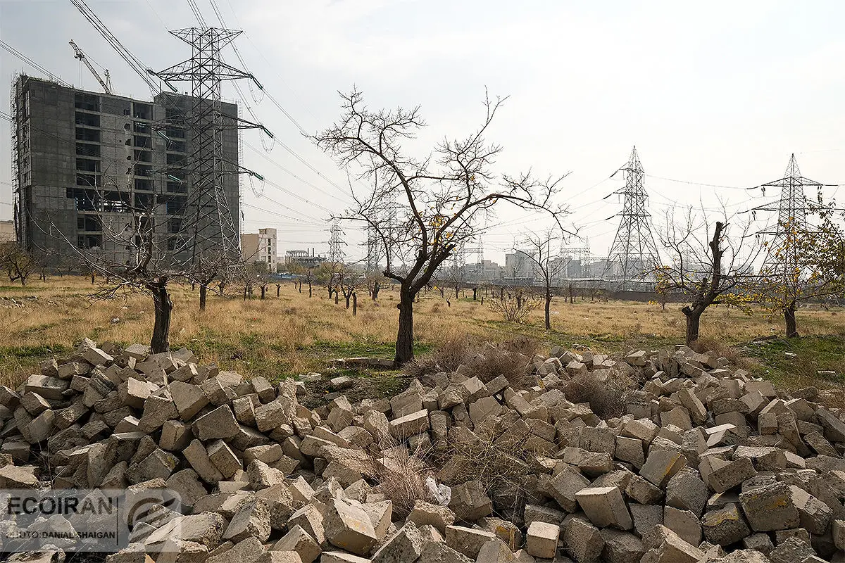 هشدار اعضای شورای شهر تهران درباره نابودی باغات/مسئولیت ملی برای نجات ریه‌های پایتخت
