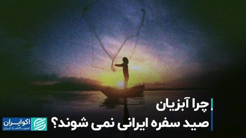 چرا آبزیان صید سفره ایرانی نمی‌شوند؟