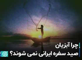 چرا آبزیان صید سفره ایرانی نمی‌شوند؟